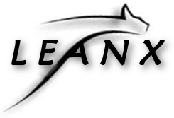 LeanX